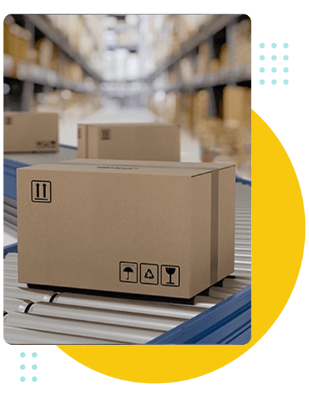 Warehouse Control System Support Automation Solutions